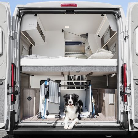 vantourer-campervan-540d-beladung-hundebox-unter-hubbett-mj-2026